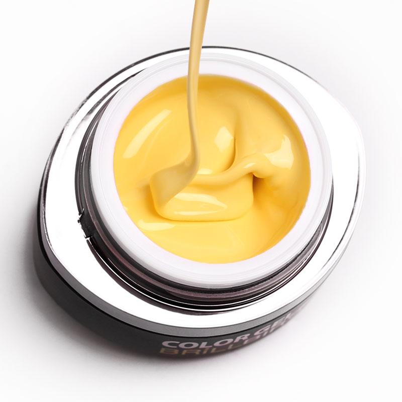 Brush & Go Color Gel Go9 - 4.5ml image 0