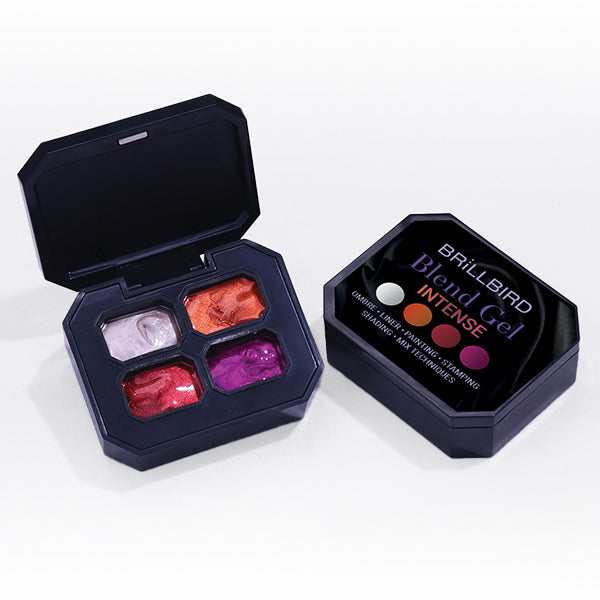 Blend Gel set pentru pictură - Intense - BrillBird