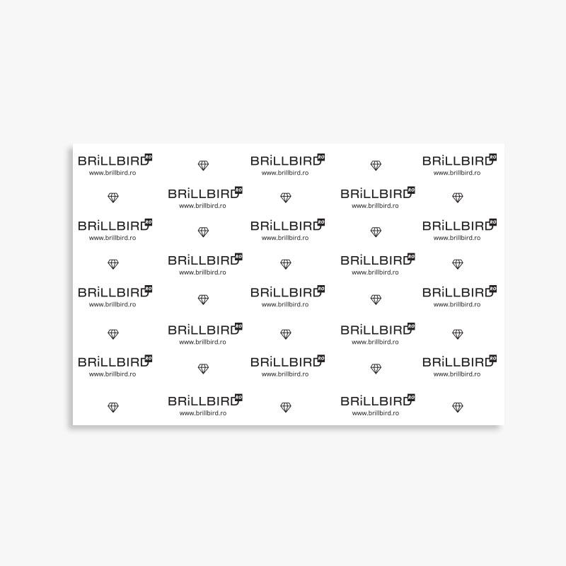 Fundal BrillBird image 0