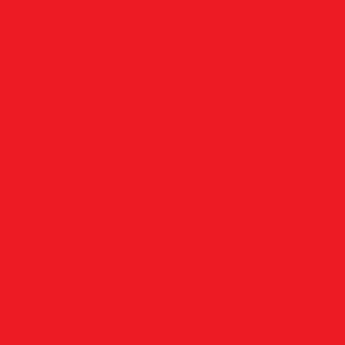 Folie De Transfer - Xtreme Red- OUTLET image 0