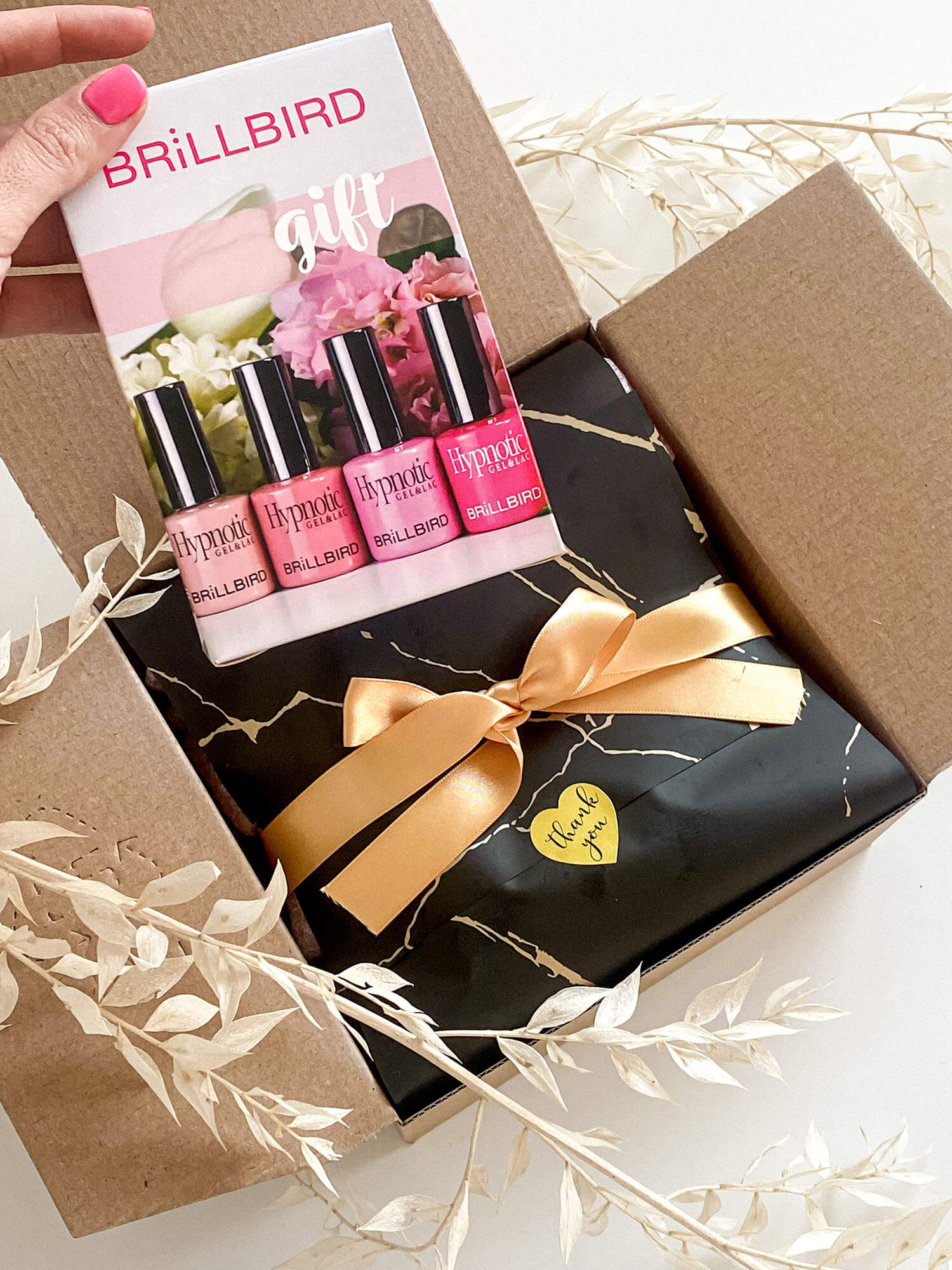 Surprise BOX – BrillBird