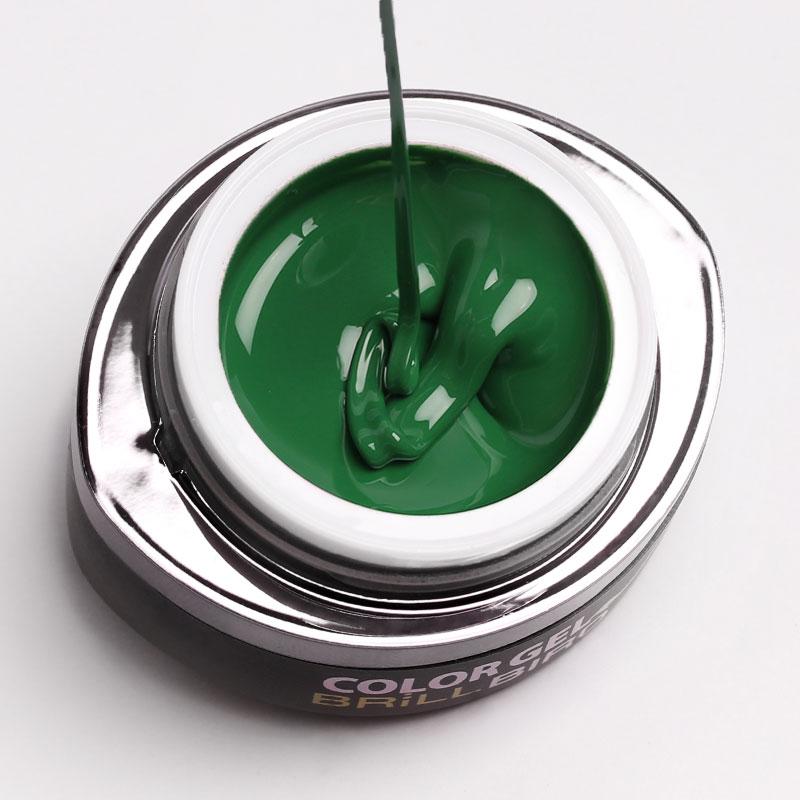 Brush & Go Color Gel Go21 - 4,5ml - BrillBird