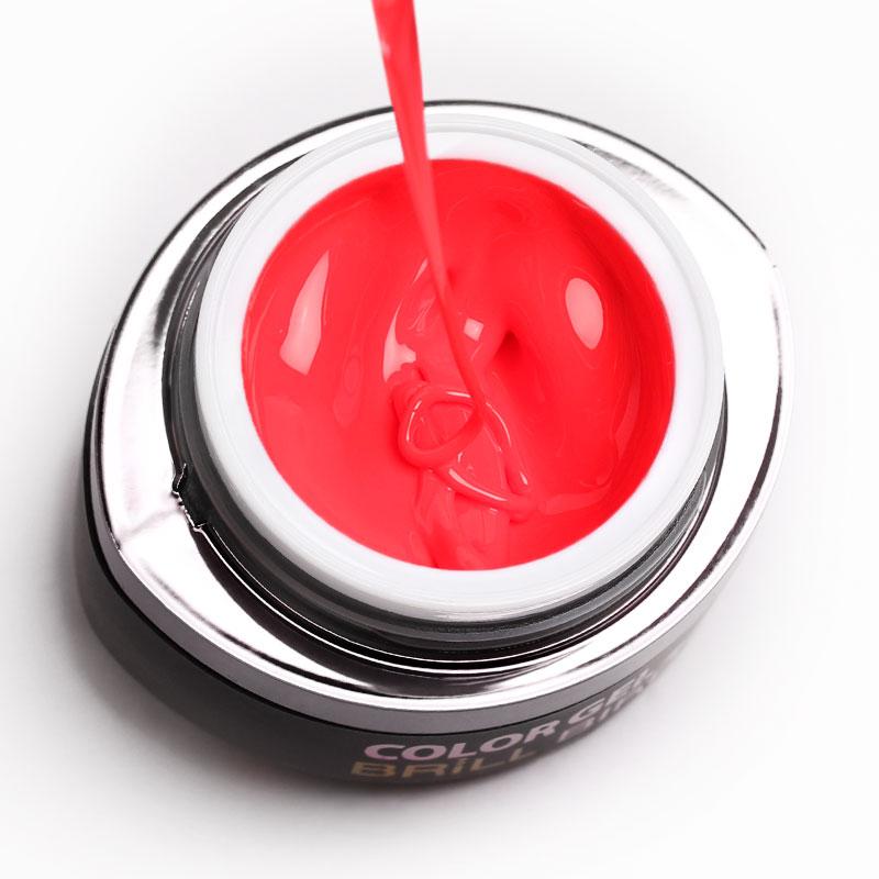 Brush & Go Color Gel Go60 - 4,5ml - BrillBird