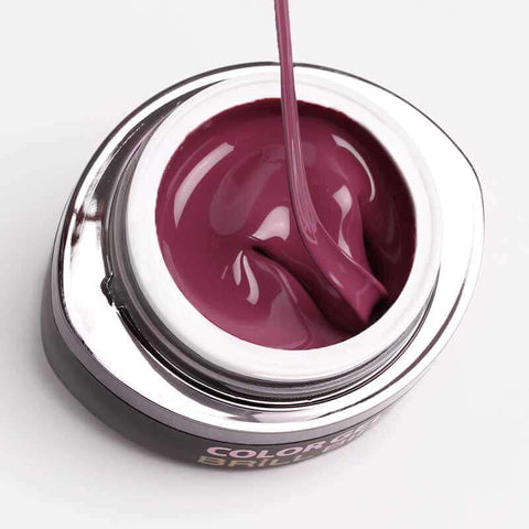 Brush & Go Color Gel Go97 - 4,5ml - BrillBird