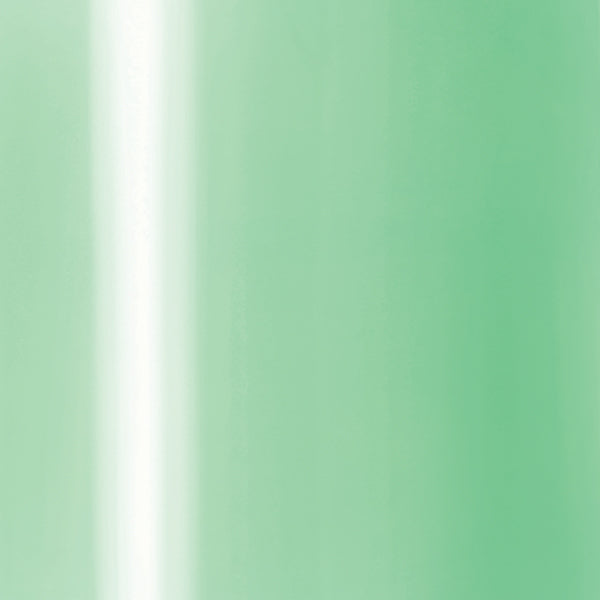GELONE 24 - Pistachio Macaron image 1