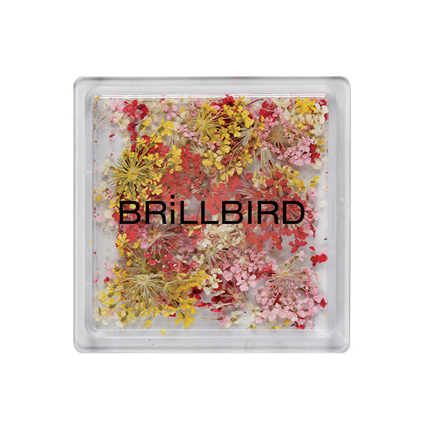 Floral Art mix - Sunrise – BrillBird