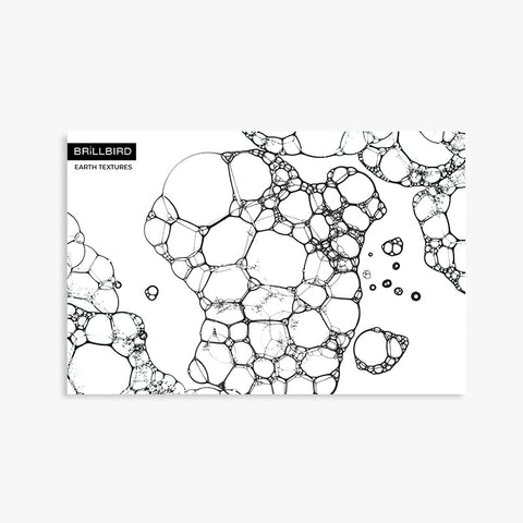 Fundal Earth Textures - Bubbles - BrillBird