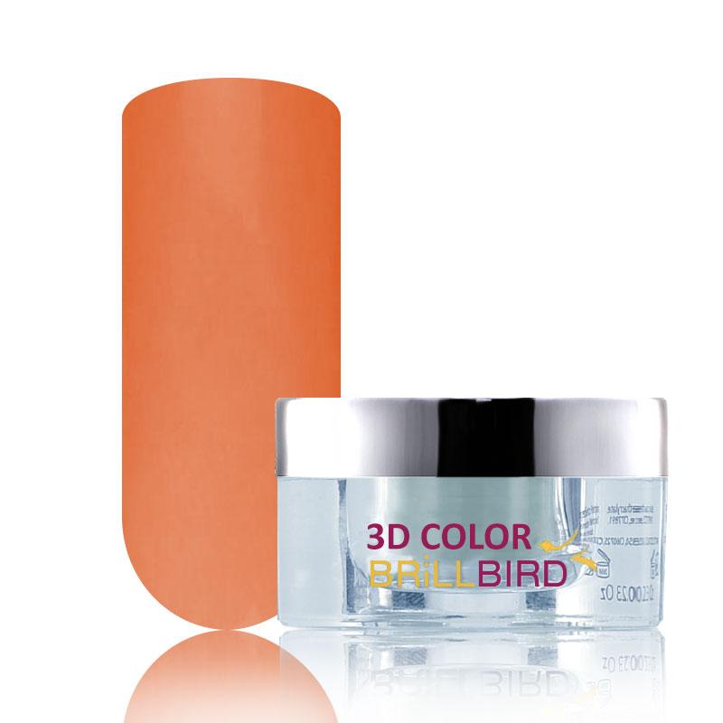 C81 Praf Acrilic Color -10ml - BrillBird